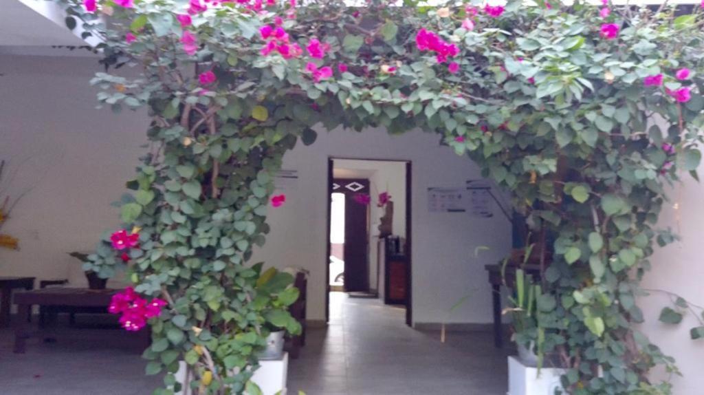 Hotel Jardin De Las Marias Suchitoto 外观 照片